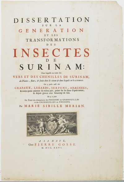 Pagina del titolo da Metamorphosis Insectorum Surinamensium, 1726 da Maria Sibylla Merian
